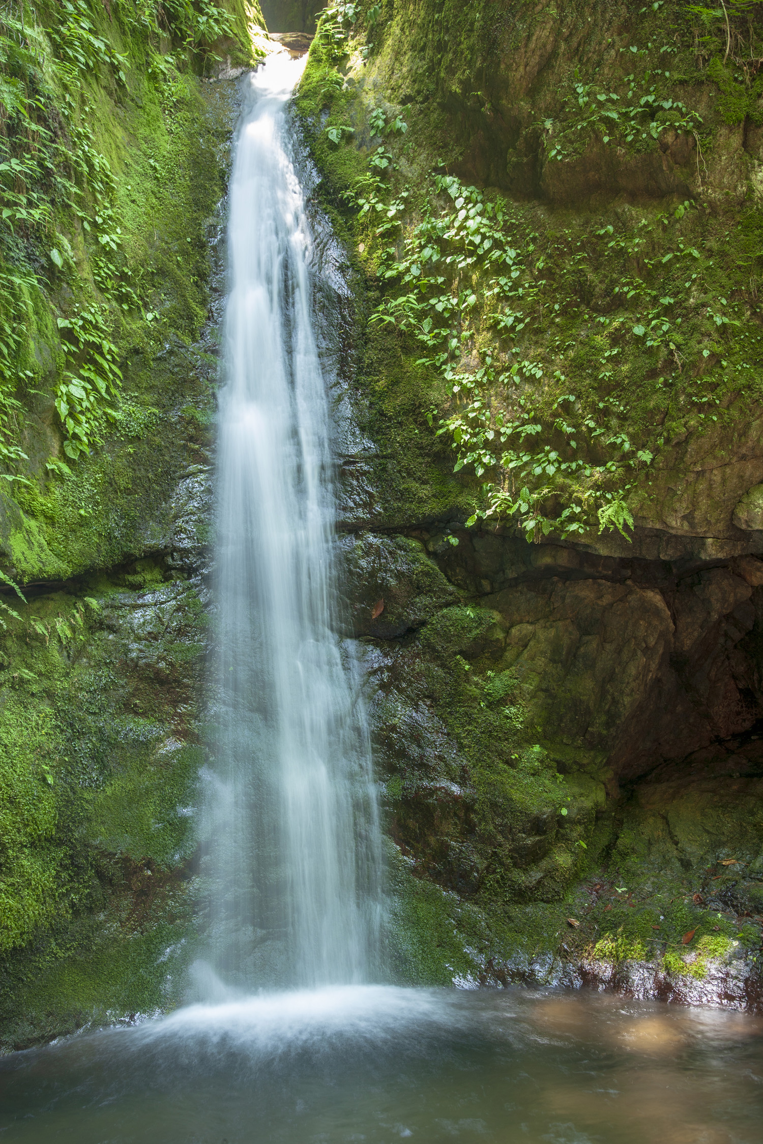 Image B